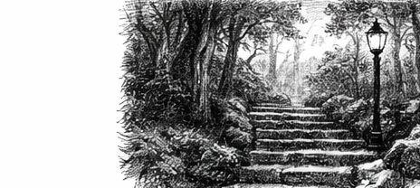 Capítulo 7 — Disciplina